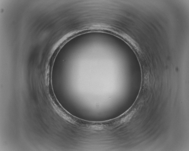 X0000085791126200703161116