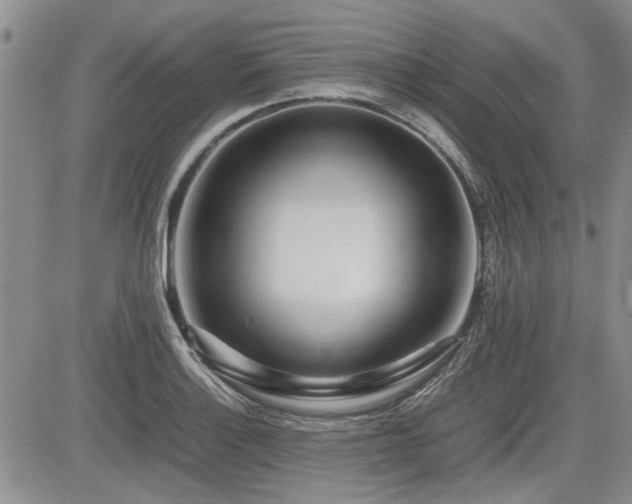 X0000085791132200703161117
