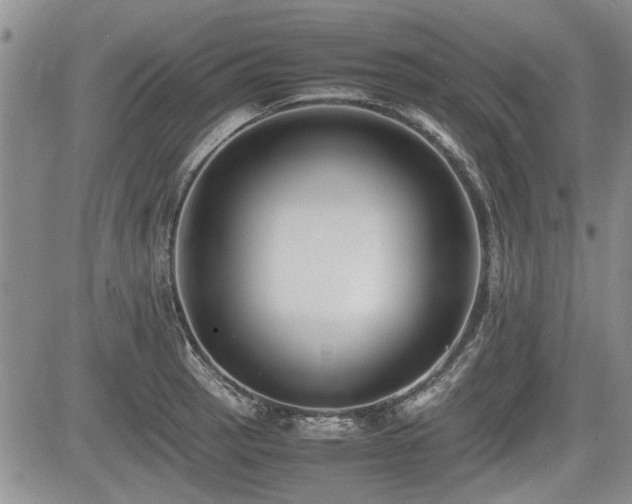 X0000085791137200703161117