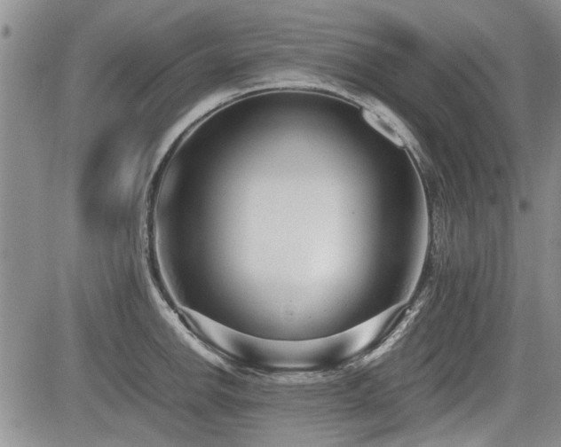 X0000085791142200703161117