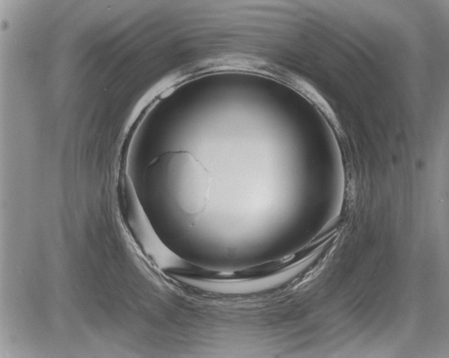 X0000085791146200703161117