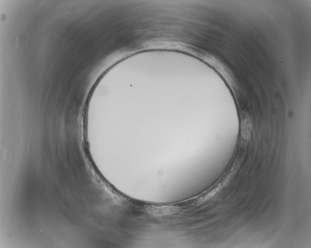 X0000085791150200703161117