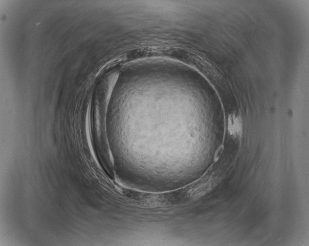 X0000085791155200703161116