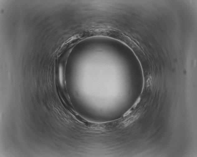 X0000085791156200703161116