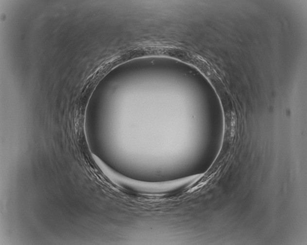 X0000085791157200703161116