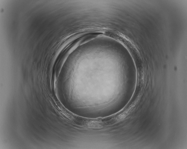 X0000085791161200703161116