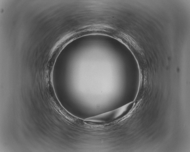 X0000085791164200703161116