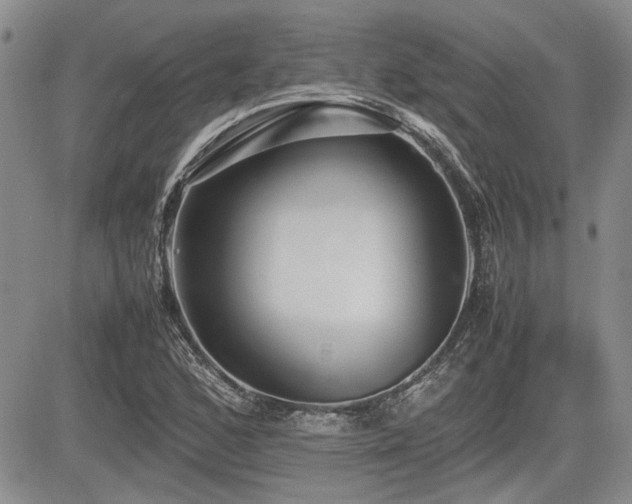 X0000085791168200703161116