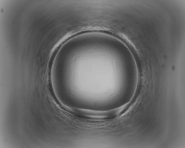 X0000085791173200703161116