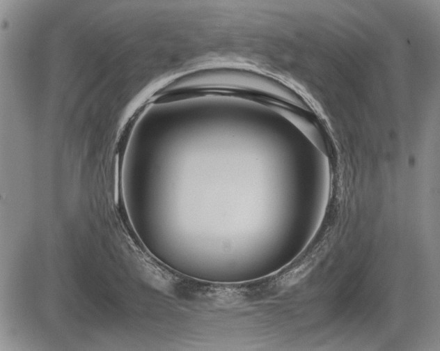 X0000085791175200703161116