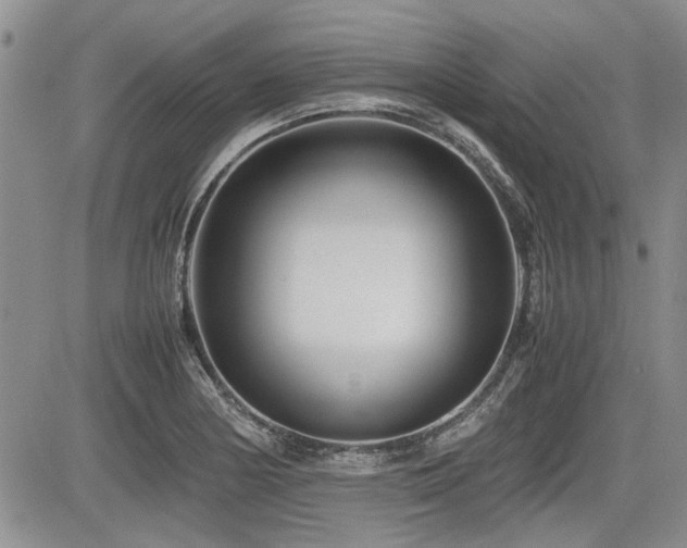 X0000085791178200703161116
