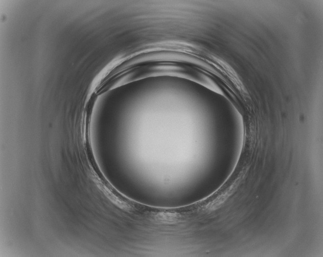 X0000085791180200703161116