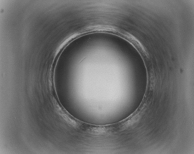 X0000085791182200703161116