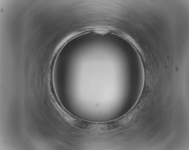 X0000085791187200703161116