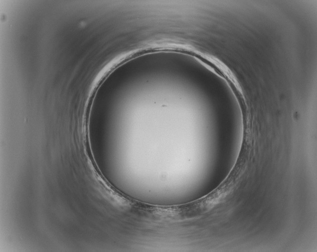 X0000085791191200703161115