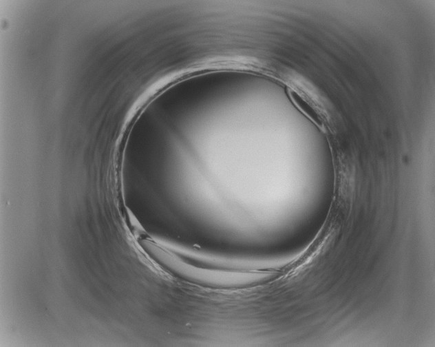 X0000085791192200703161115