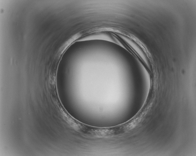 X0000085791193200703161115