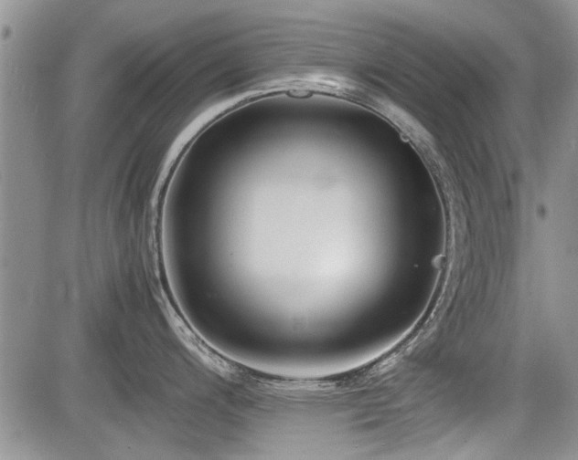 X0000085791200200703161115