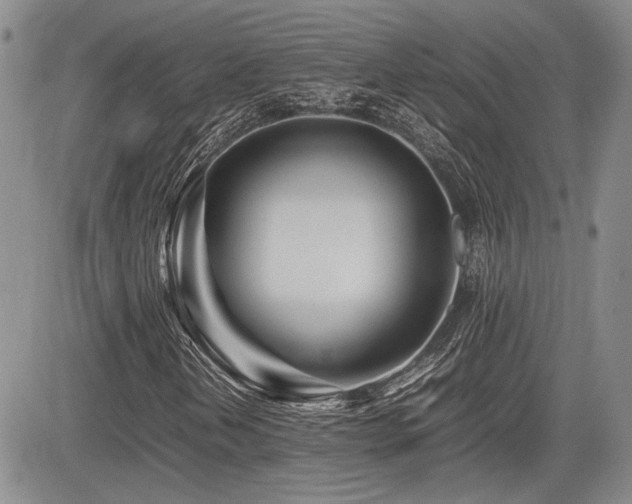 X0000085791202200703161114