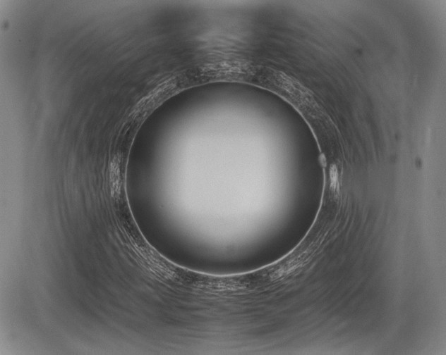 X0000085791203200703161115