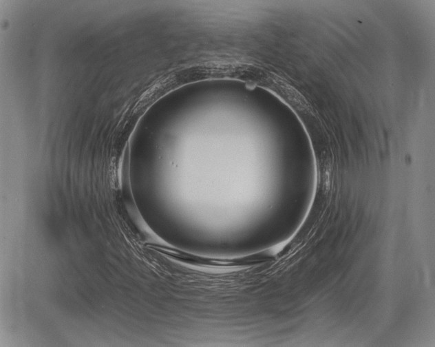 X0000085791204200703161115