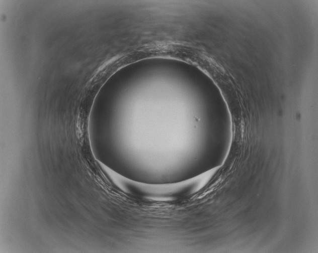 X0000085791206200703161115