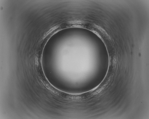 X0000085791209200703161115