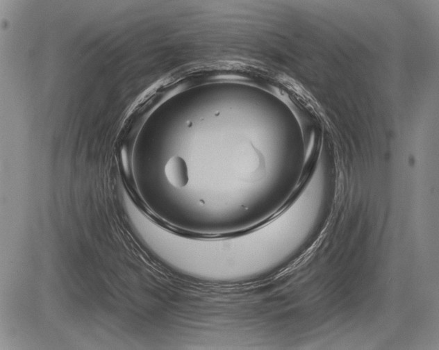 X0000085791210200703161115