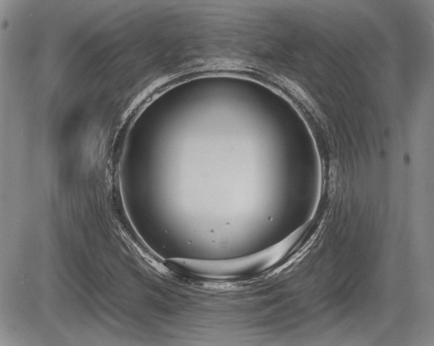X0000085791212200703161115