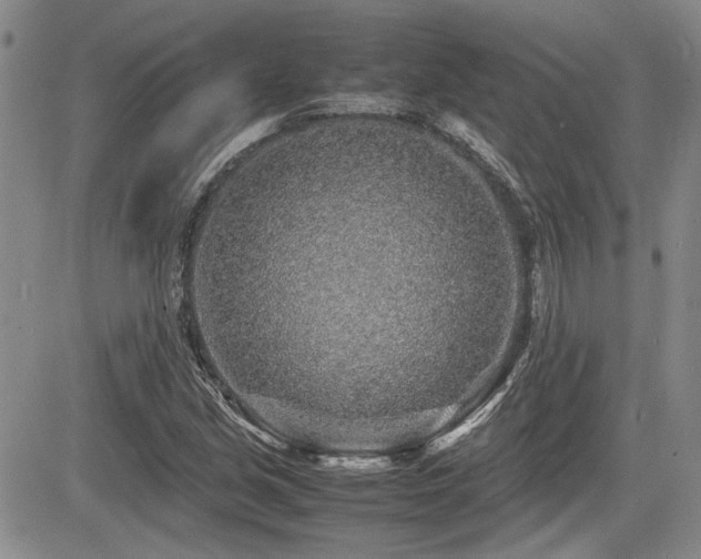 X0000085791213200703161115