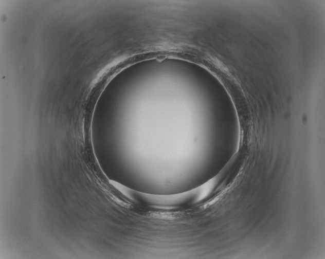 X0000085791214200703161115