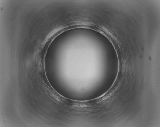 X0000085791215200703161115