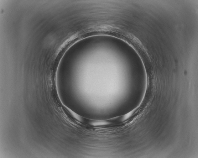 X0000085791218200703161115