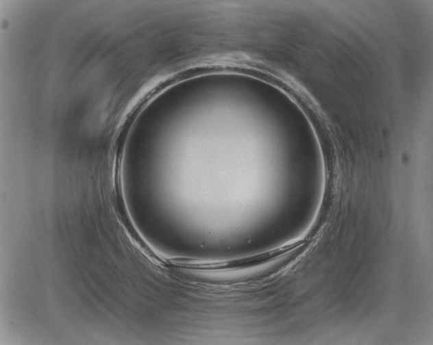 X0000085791224200703161115