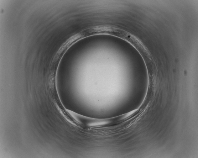 X0000085791225200703161115