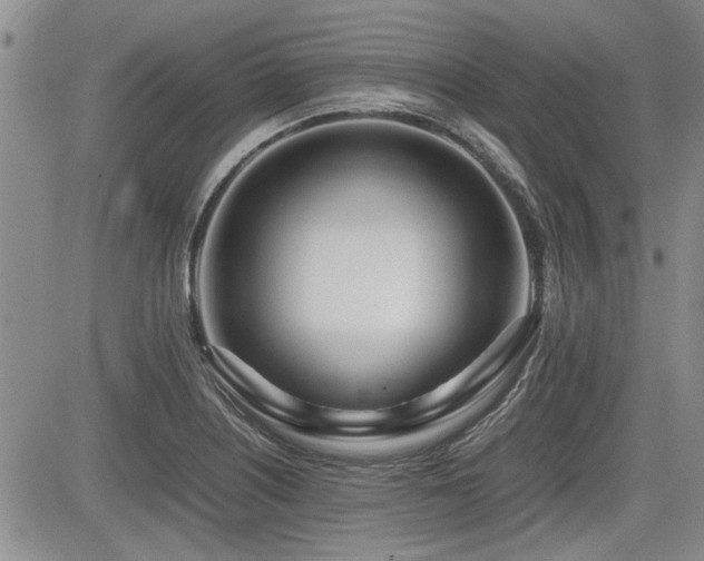 X0000085791226200703161115