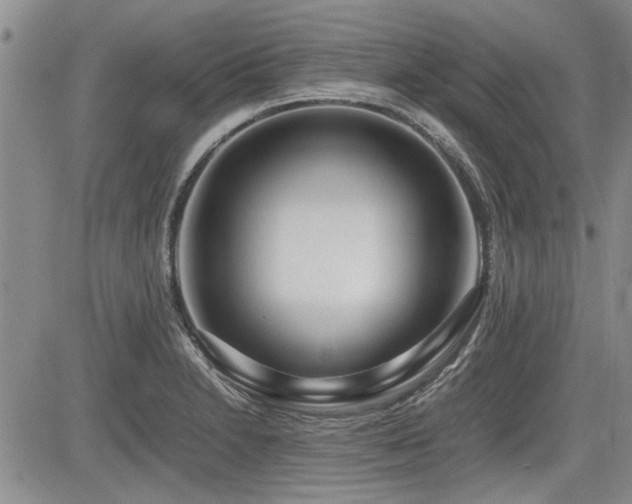 X0000085791230200703161115