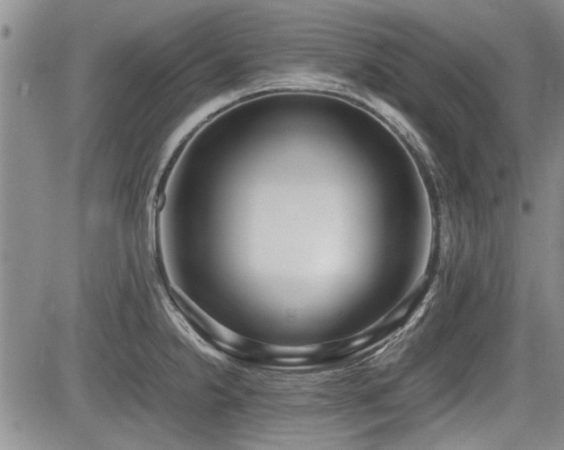 X0000085791238200703161115