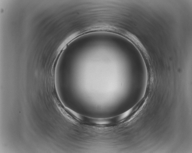 X0000085791242200703161115