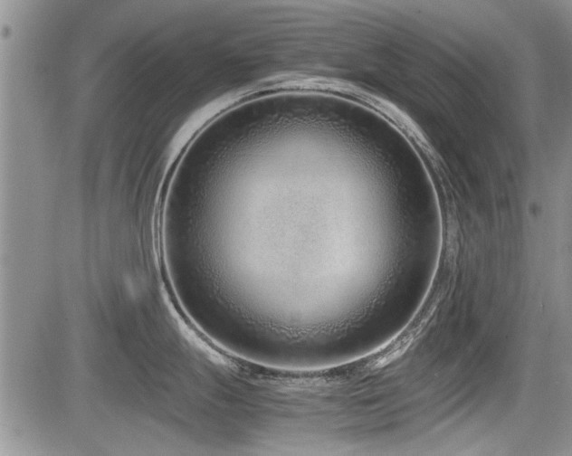 X0000085791247200703161115