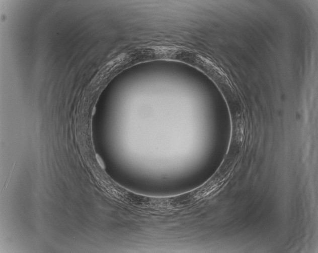 X0000085791249200703161114