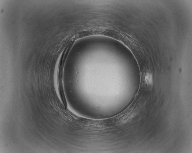 X0000085791252200703161114