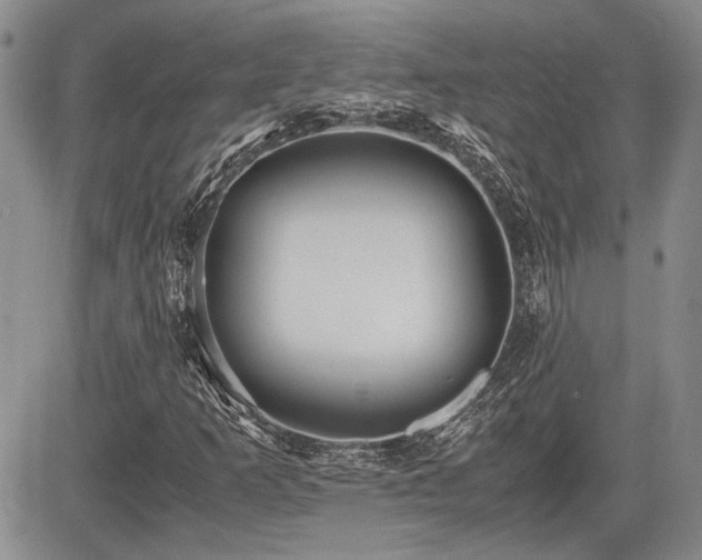 X0000085791253200703161114