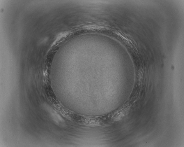 X0000085791254200703161114