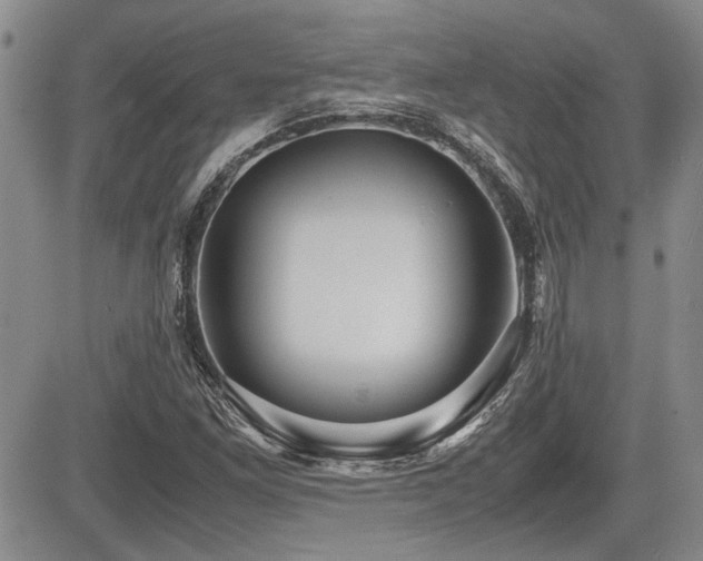 X0000085791261200703161114