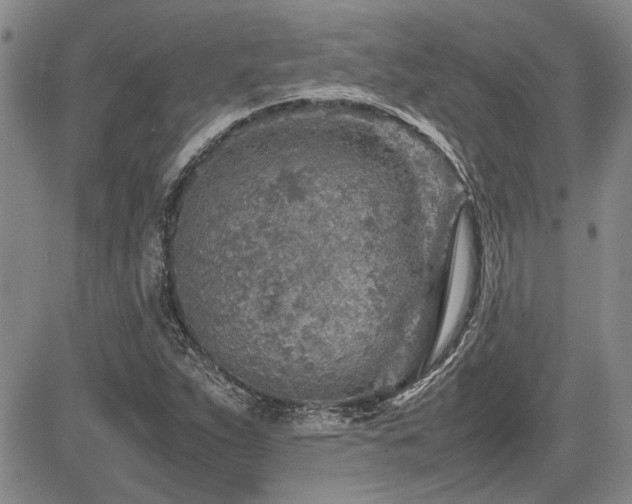 X0000085791263200703161114