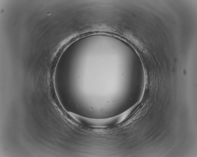 X0000085791264200703161114