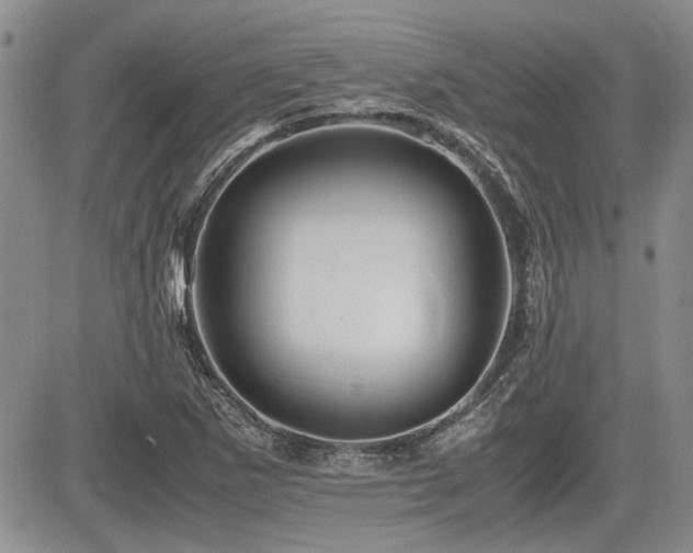 X0000085791265200703161114