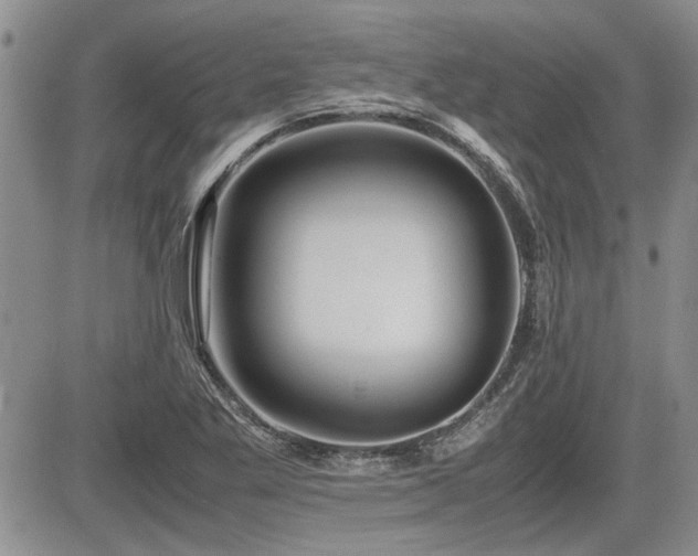 X0000085791269200703161114