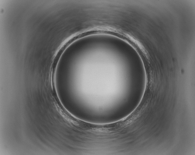 X0000085791272200703161114